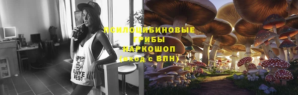 не бодяженный Богданович