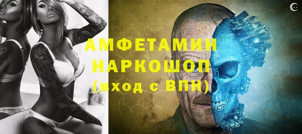 молекула духа Семилуки