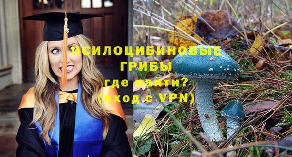 метадон Богородицк